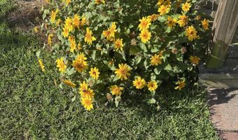 2687 Linda Ln, Alford, FL 32420