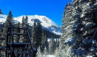 868 NUTHATCH Dr, Alma, CO 80420