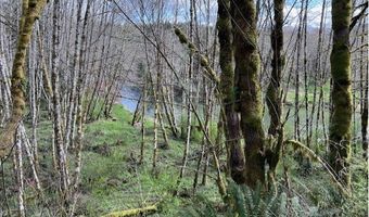 Northrup Creek RD, Birkenfeld, OR 97016