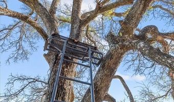 Tbd Fm-1304, Aquilla, TX 76622