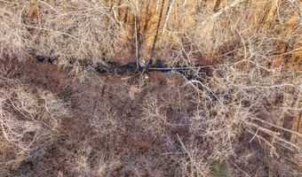 James Reeder Ln, Allons, TN 38541