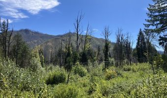 Blue River Dr, Blue River, OR 97413