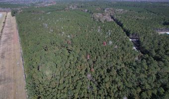 7 90 Acres-TBD Puncheon Creek Dr, Andrews, SC 29510