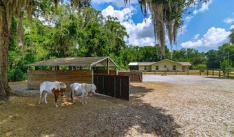 13300 NE 38TH Ave, Anthony, FL 32617