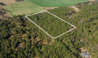 Tbd N COUNTY RD 1491, Alachua, FL 32615