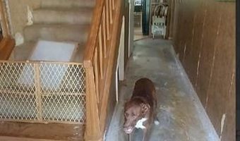 24550 S 550 Rd, Afton, OK 74331