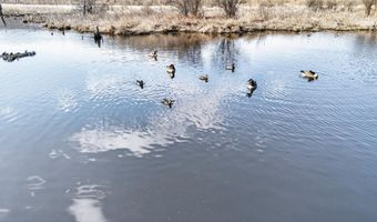 271 18 Acres Zwettler/Foster Rd, Arena, WI 53503
