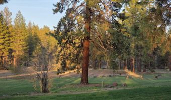 6310 Happy Hollow Ln, Bonanza, OR 97623
