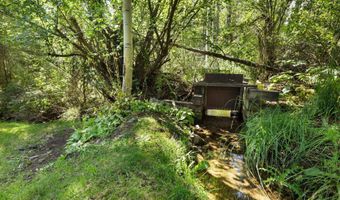 1145 Black Birch Dr, Aspen, CO 81611