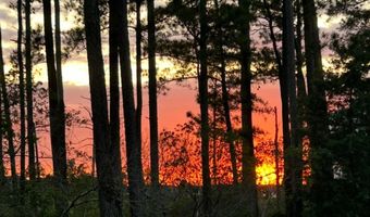 29244 PARK VIEW Dr, Dagsboro, DE 19939