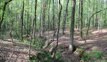 Ruffner Road 00, Barnesville, GA 30204