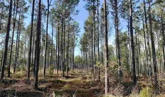 Highway 28, Abbeville, SC 29620