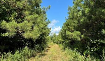 1365 Mickle Smith Trl, Bogue Chitto, MS 39629