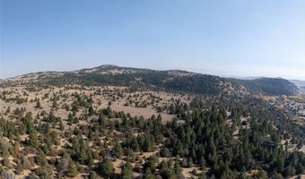 NHN Trails End Drive, Anaconda, MT 59711