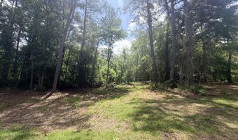 Point Caswell Road lot 16A, Atkinson, NC 28421