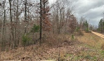1 Hwy 49, Annapolis, MO 63620