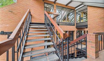 533 E Hopkins Ave 103, Aspen, CO 81611