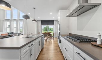 940 Treeline Dr, Algonquin, IL 60102
