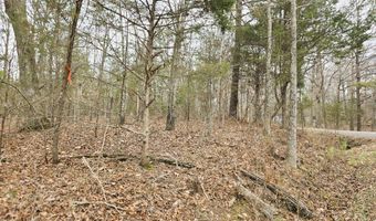 Ramblingwood Dr, Big Sandy, TN 38221