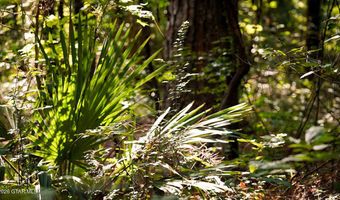 Cypress Pointe Drive lot 15, Brooksville, MS 39739