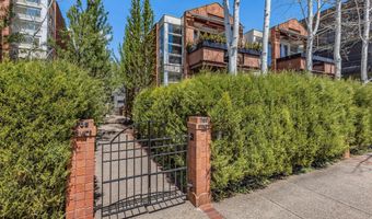 708 E Hyman Ave, Aspen, CO 81611