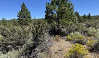 Bufflehead Drive 18, Bonanza, OR 97623