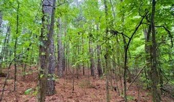 CR 265, Bruce, MS 38915