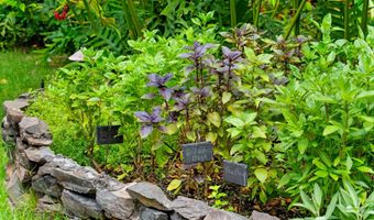 4850 Makena Alanui Rd C106, Kihei, HI 96753