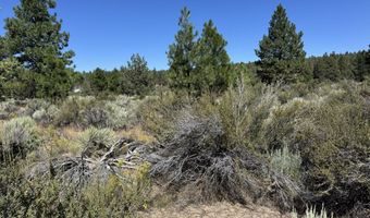Bufflehead Drive 18, Bonanza, OR 97623