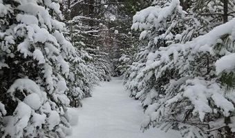 9606 Munger Rd, Afton, MI 49705