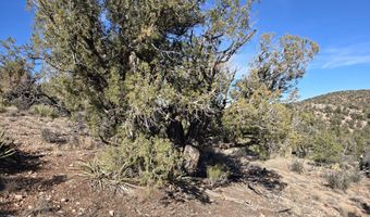 133 Arizona Rd, Ash Fork, AZ 86320