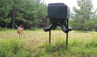 Harry Priddy Road, Americus, GA 31719