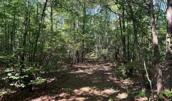 Reeves Road, Ashland, MS 38603