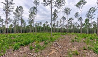 Wilson Lane, Arnoldsville, GA 30619