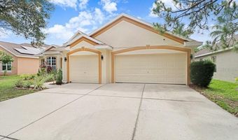6803 CROMWELL GARDEN Dr, Apollo Beach, FL 33572