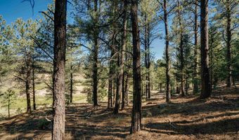 Snowmass Rd lot 9, Angel Fire, NM 87710