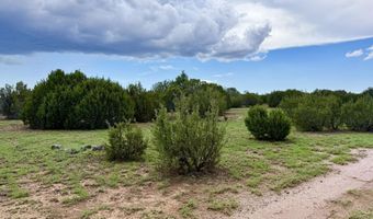 85 Co Rd 8128, Concho, AZ 85924