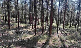 782 Hawks Meadow Dr, Bayfield, CO 81122