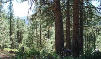 464 Collier View Rd, Cascade, ID 83611