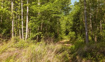 Beech Bluff Road, Beech Bluff, TN 38313