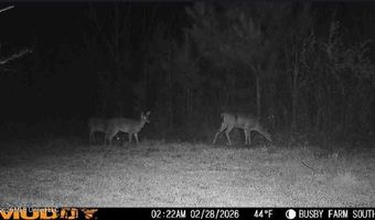 U.S. Highway 51, Bogue Chitto, MS 39629
