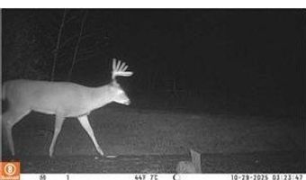 999 Porcupine Trl, Aitkin, MN 56431