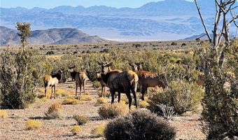155 Oak Trail Cir, Cold Creek, NV 89124