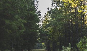 Bill Hubbard Rd, Braxton, MS 39044