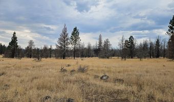 Parazoo Trail Lot 15, Bly, OR 97622