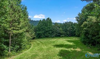 Unit # 0 Murphree Valley Road, Altoona, AL 35952