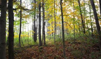 0 Midline Rd, Amsterdam, NY 12010