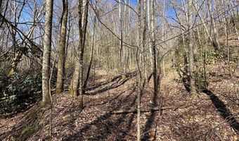 Lot 7 Valley View Heights Lane, Andrews, NC 28901