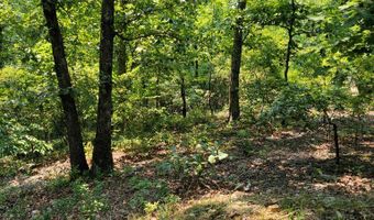 Sulphur Creek Rd off, Big Sandy, TN 38221