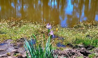 Tbd STONE CREEK RD CR 2117, Alpine, AZ 85920